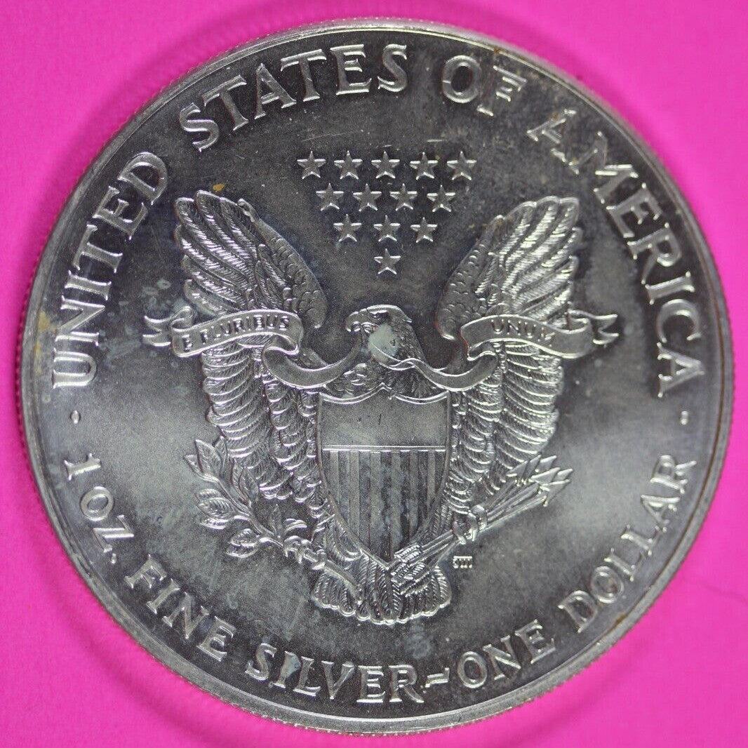 Colorized 1999 American Silver Eagle 1 Ounce .999 Fine Exact Coin Shown 175
