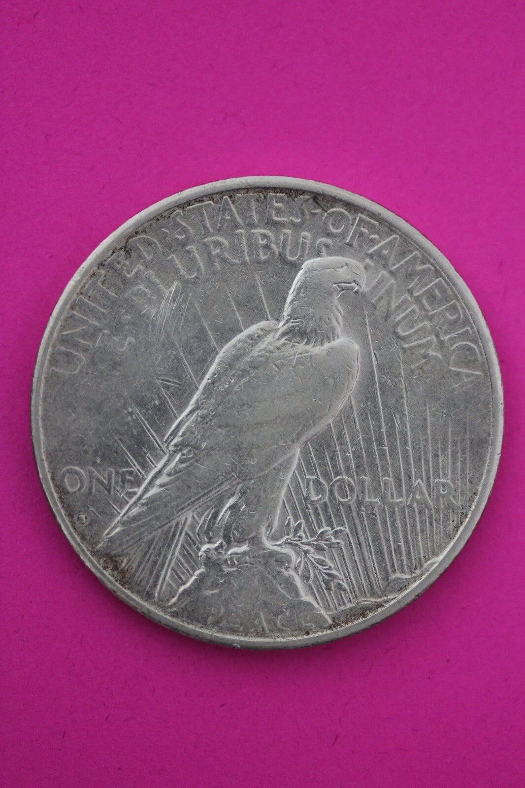 1934 S Liberty Peace Silver Dollar Scarce Semi Key Date Coin San Francisco 87