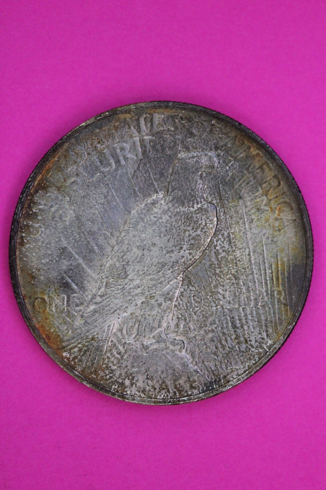 Toned High Grade 1924 P Liberty Peace Silver Dollar Philadelphia Mint Coin 235