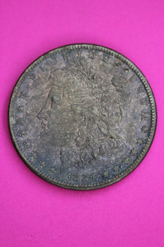 Toned High Grade 1881 S Morgan Liberty Silver Dollar Guaranteed Authentic 1824