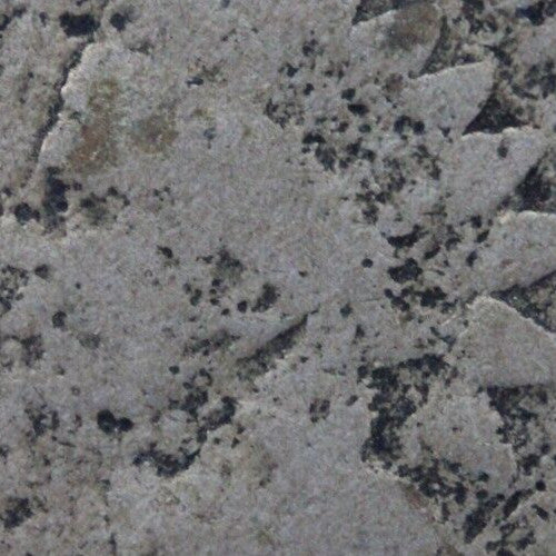 1859 Copper Nickel Indian Head Cent Penny Exact Early Type Coin Pictured 92