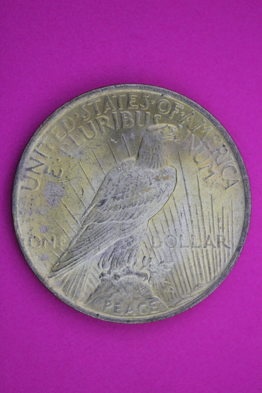 Toned 1923 P Peace Silver Dollar LIberty Coin Guaranteed Authentic 0335N