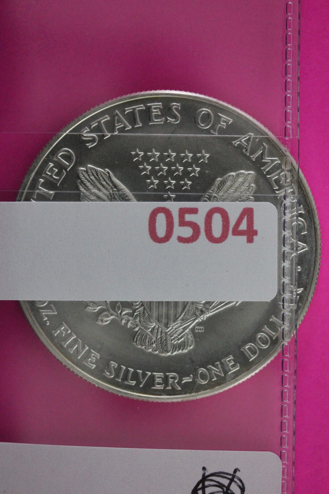 Colorized 1999 American Silver Eagle 1 Ounce .999 Fine Exact Coin Shown N0504