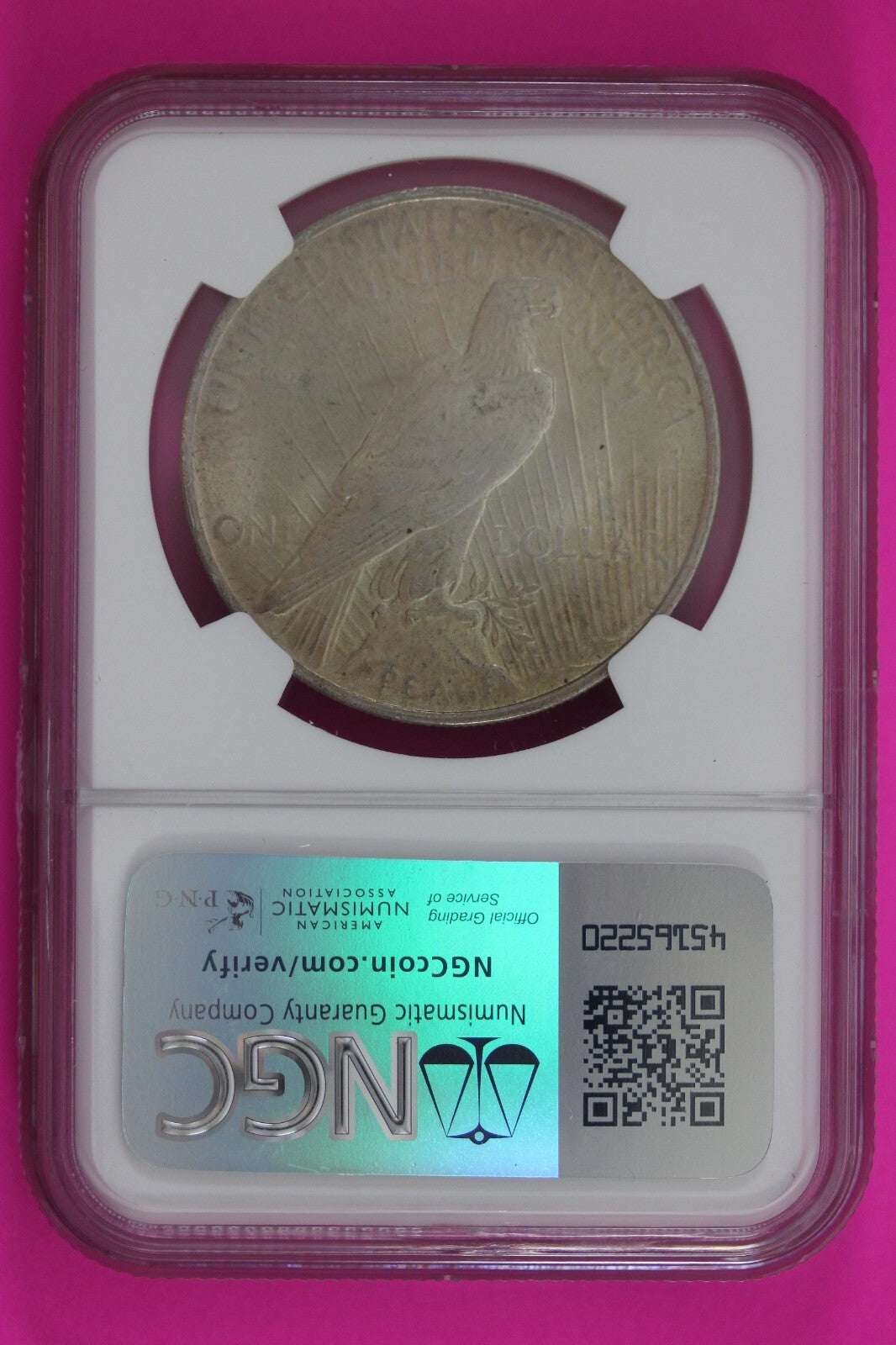 Toned 1923 P MS 63 Liberty Peace Silver Dollar NGC Certified Graded Slab 208