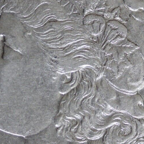 High Grade 1889 O Morgan Liberty Silver Dollar Scarce Semi Key Date Coin 245