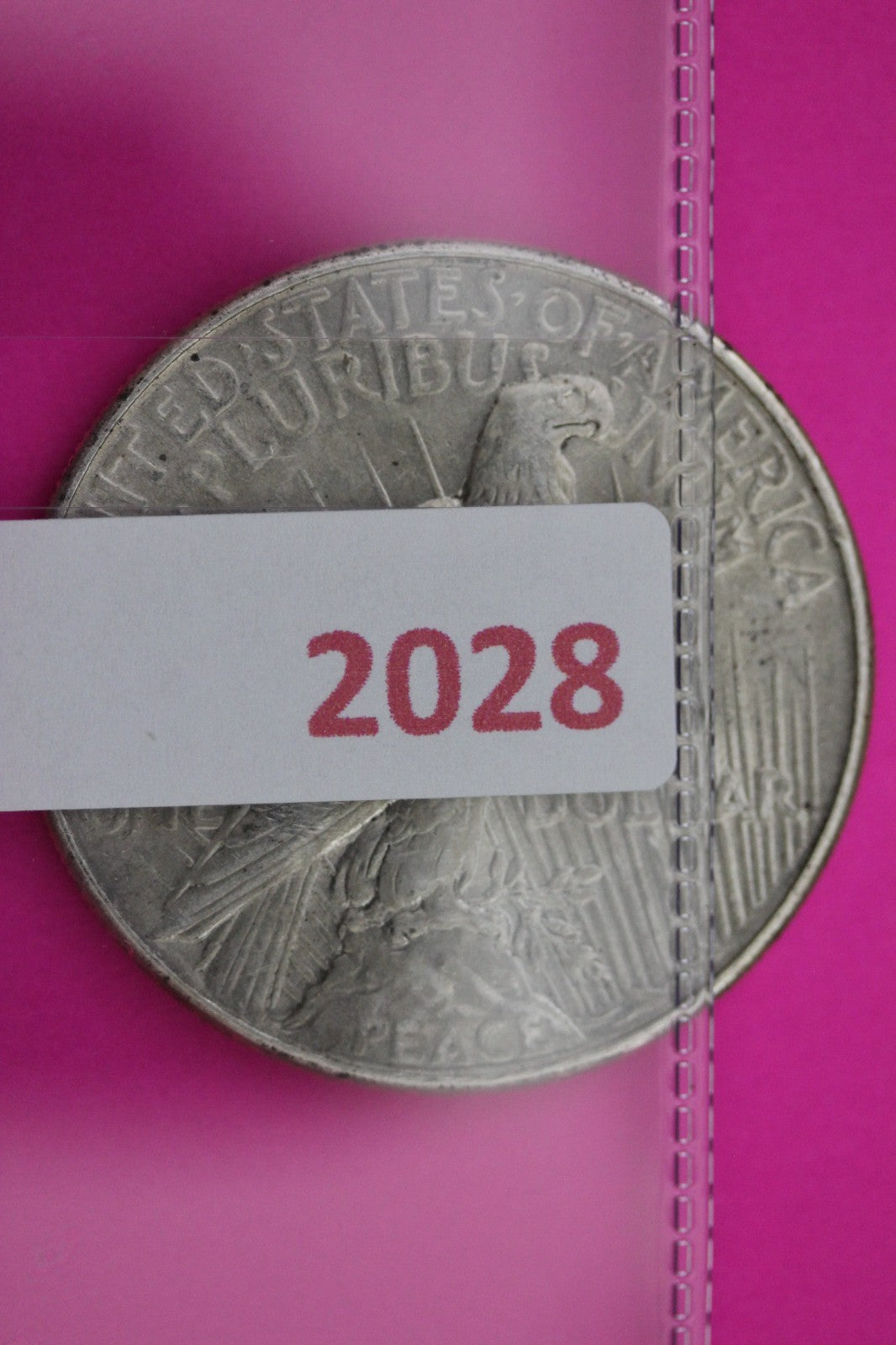 1934 P Peace Silver Dollar LIberty Coin Guaranteed Genuine American Seller 2028