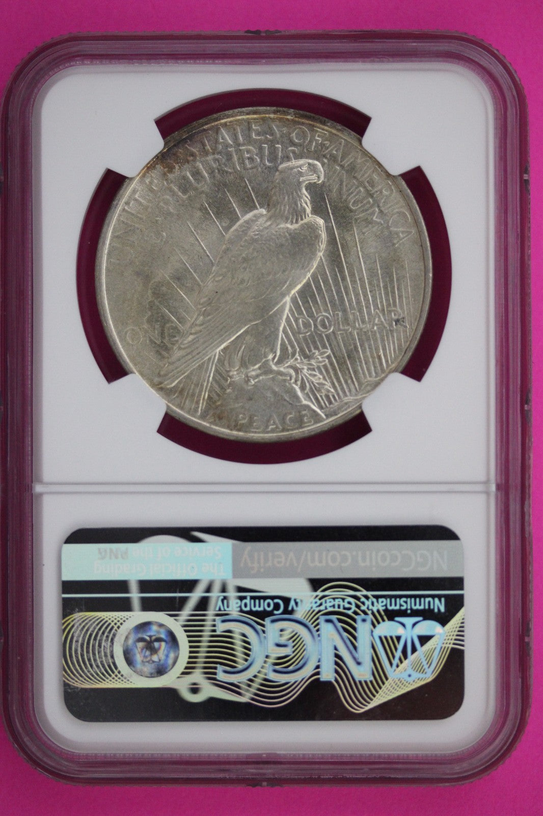 1924 P MS 64 Liberty Peace Silver Dollar NGC Certified Graded Authentic 559