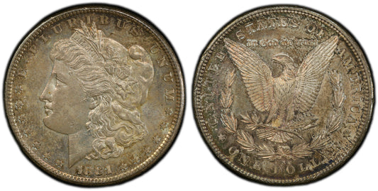 Toned 1881 S MS 62 Morgan Liberty Silver Dollar PCGS Certified Graded Slab 218