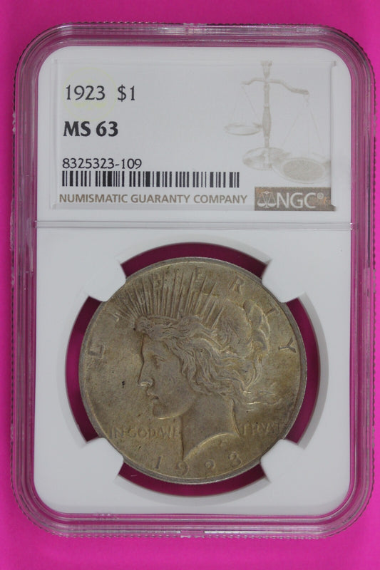 Toned 1923 P MS 63 Liberty Peace Silver Dollar NGC Certified Graded Slab 208