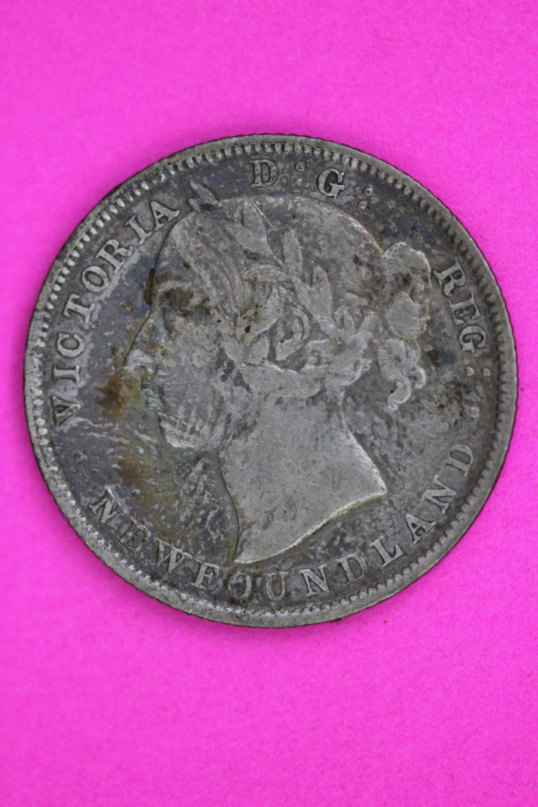 1900 Newfoundland Canada 20 TWENTY Cent Silver Coin Guaranteed Authentic 2242