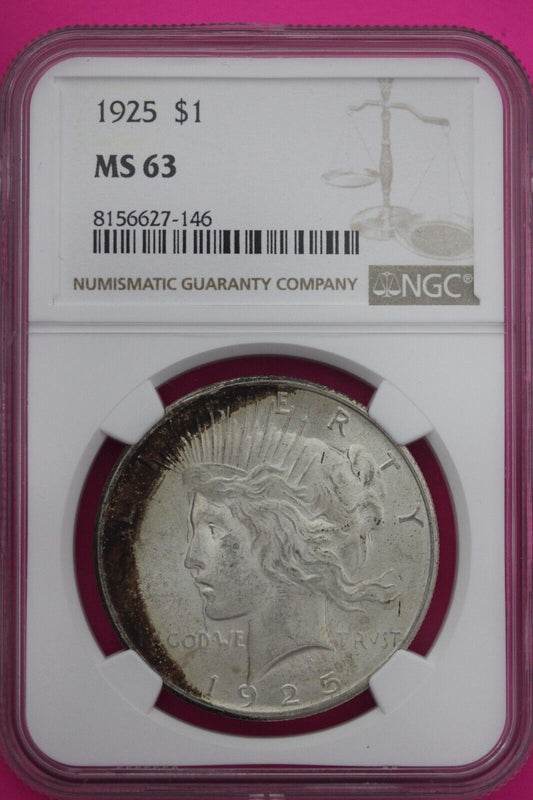 Toned 1925 P MS 63 Peace Silver Dollar NGC Graded Certified graded Slab 547