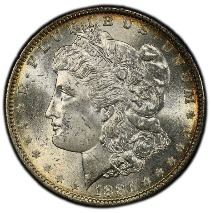 Toned 1886 P MS 64 Morgan Silver Dollar PCGS Graded Certified Authentic Slab 230
