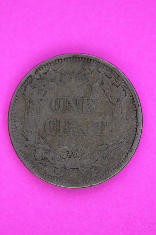 Mint Error Rim Cuds Rev 1858 Flying Eagle Cent Penny Exact Early Scarce Coin 113