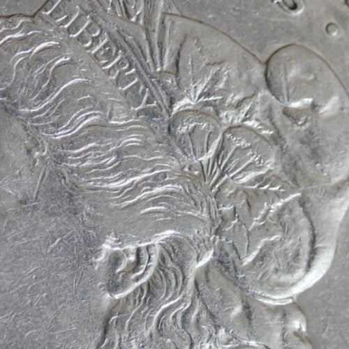 1883 S Morgan Silver Dollar Nice Luster 134