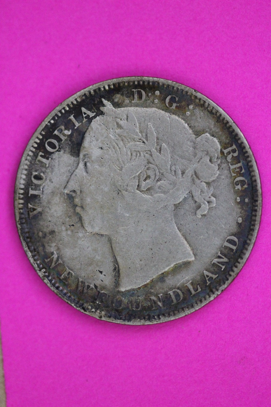 1900 Newfoundland Canada 20 TWENTY Cent Silver Coin Guaranteed Authentic 2239