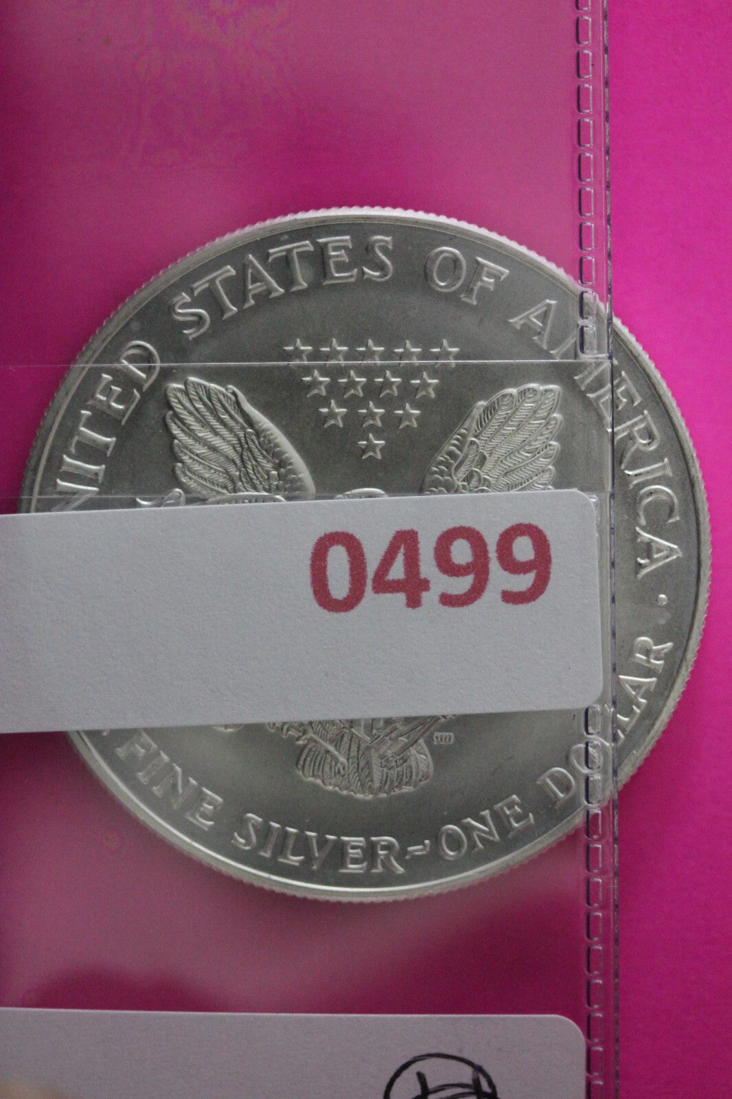 Colorized 1999 American Silver Eagle 1 Ounce .999 Fine Exact Coin Shown N0499