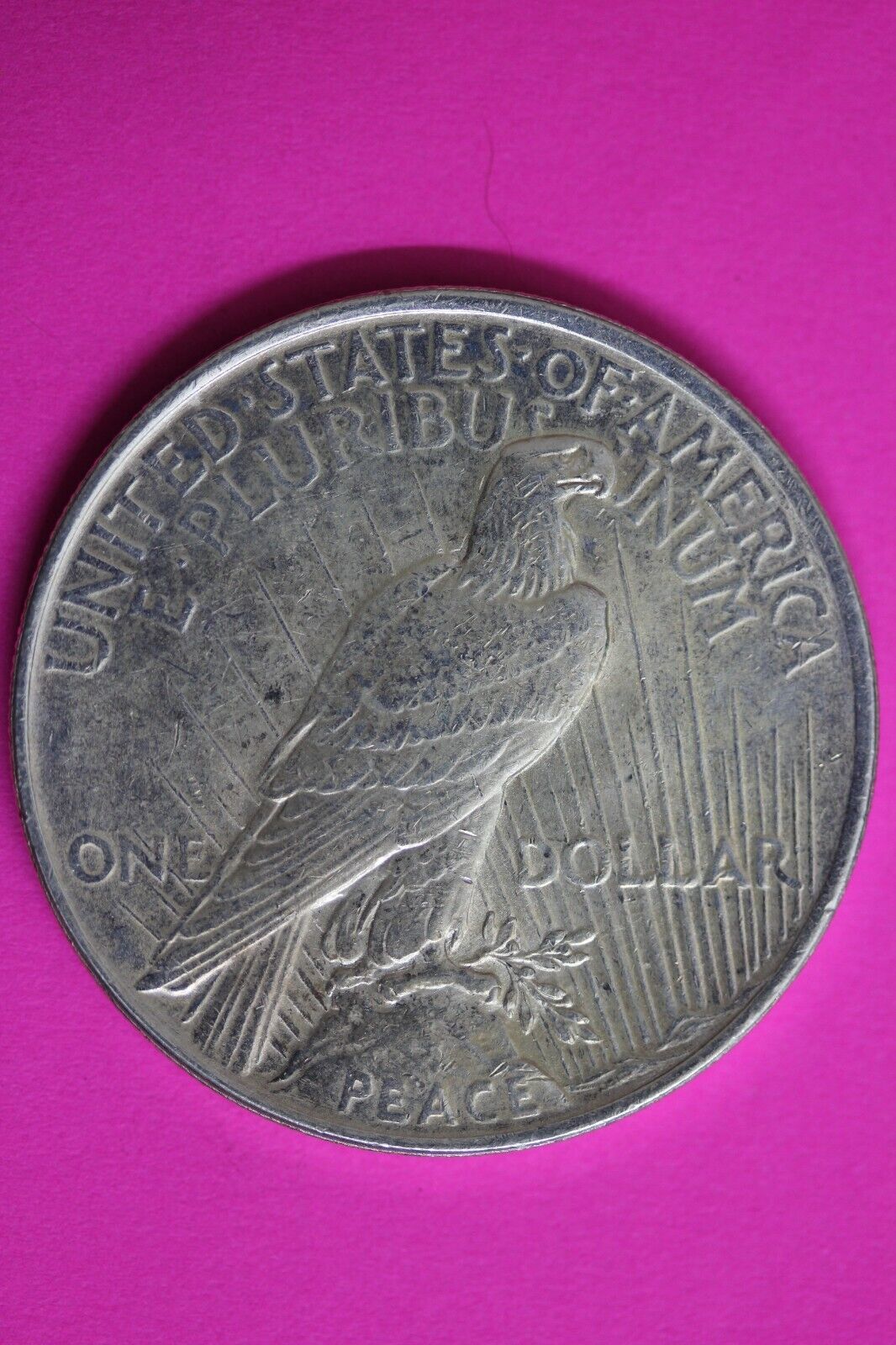 Gold Toned 1923 P Liberty Peace Silver Dollar Exact Coin Shown Better Grade 114