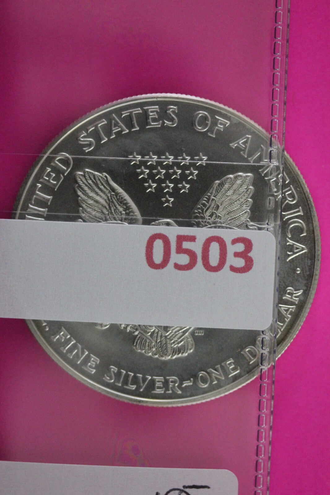 Colorized 1995 American Silver Eagle 1 Ounce .999 Fine Exact Coin Shown N0503