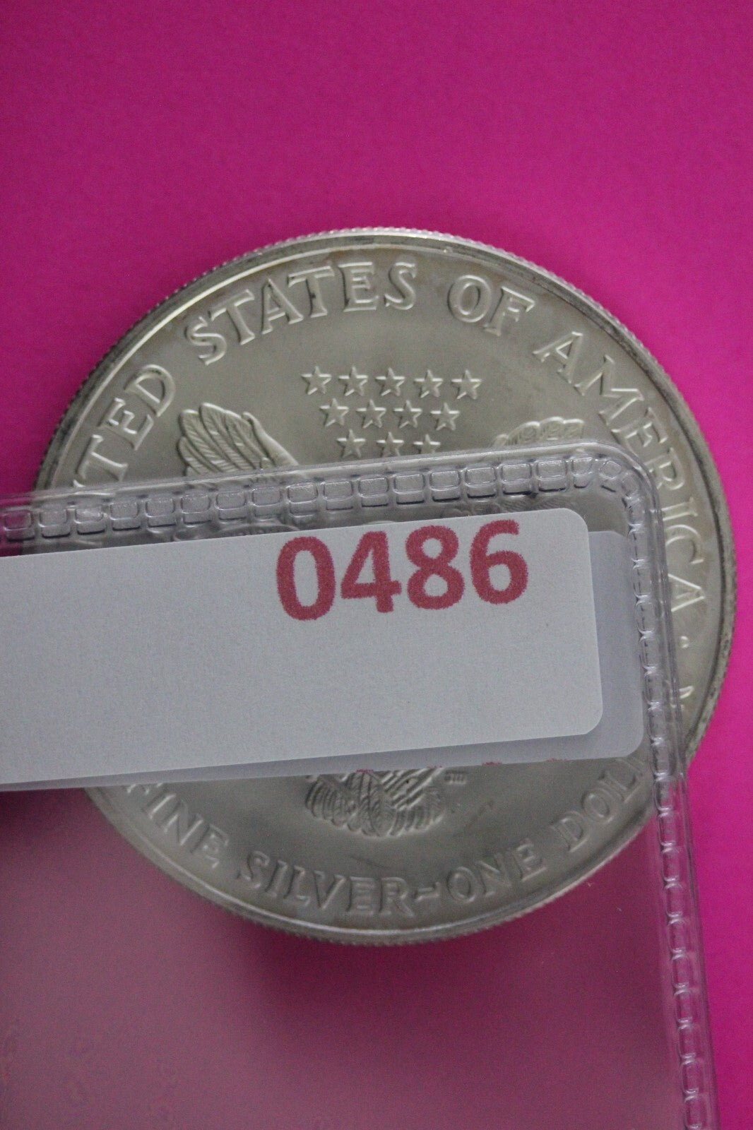 Colorized 2006 American Silver Eagle 1 Ounce .999 Fine Exact Coin Shown N0486