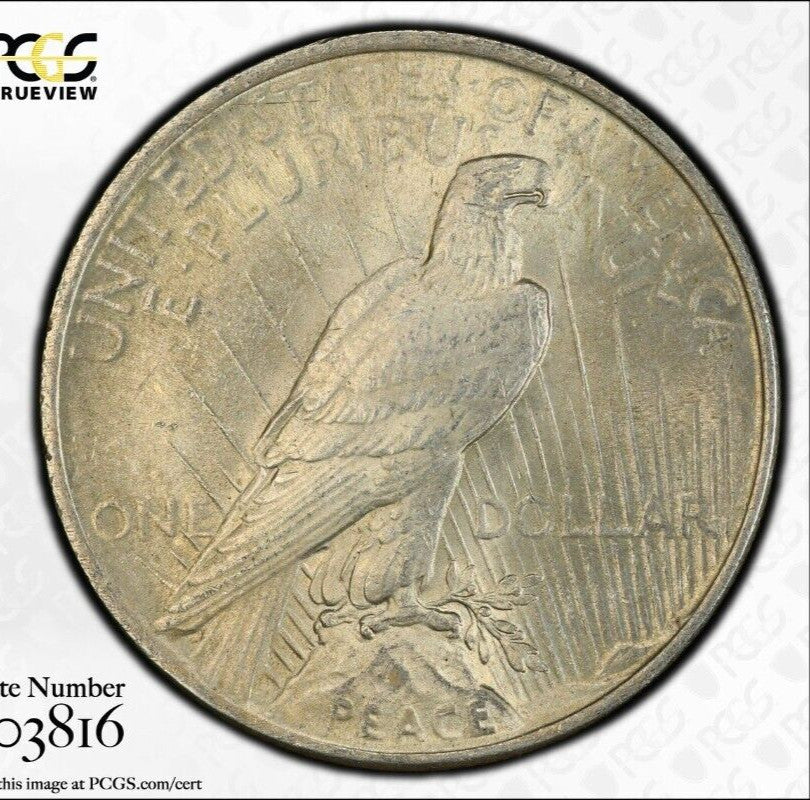 Toned 1923 P MS 62 Peace Silver Dollar PCGS Graded Certified Authentic Slab 72