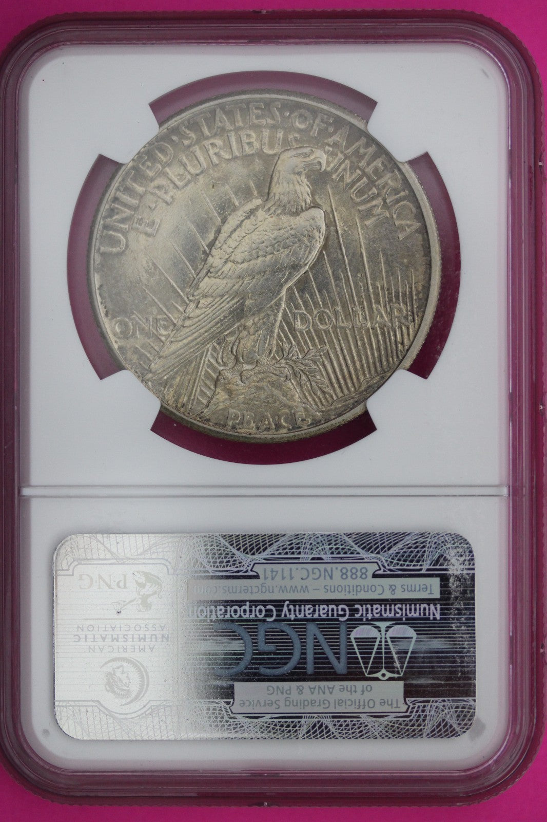 1921 AU Details Peace Silver Dollar High Relief Improperly Cleaned NGC Slab 446