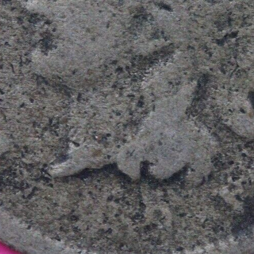 1859 Copper Nickel Indian Head Cent Penny Exact Early Type Coin Pictured 167