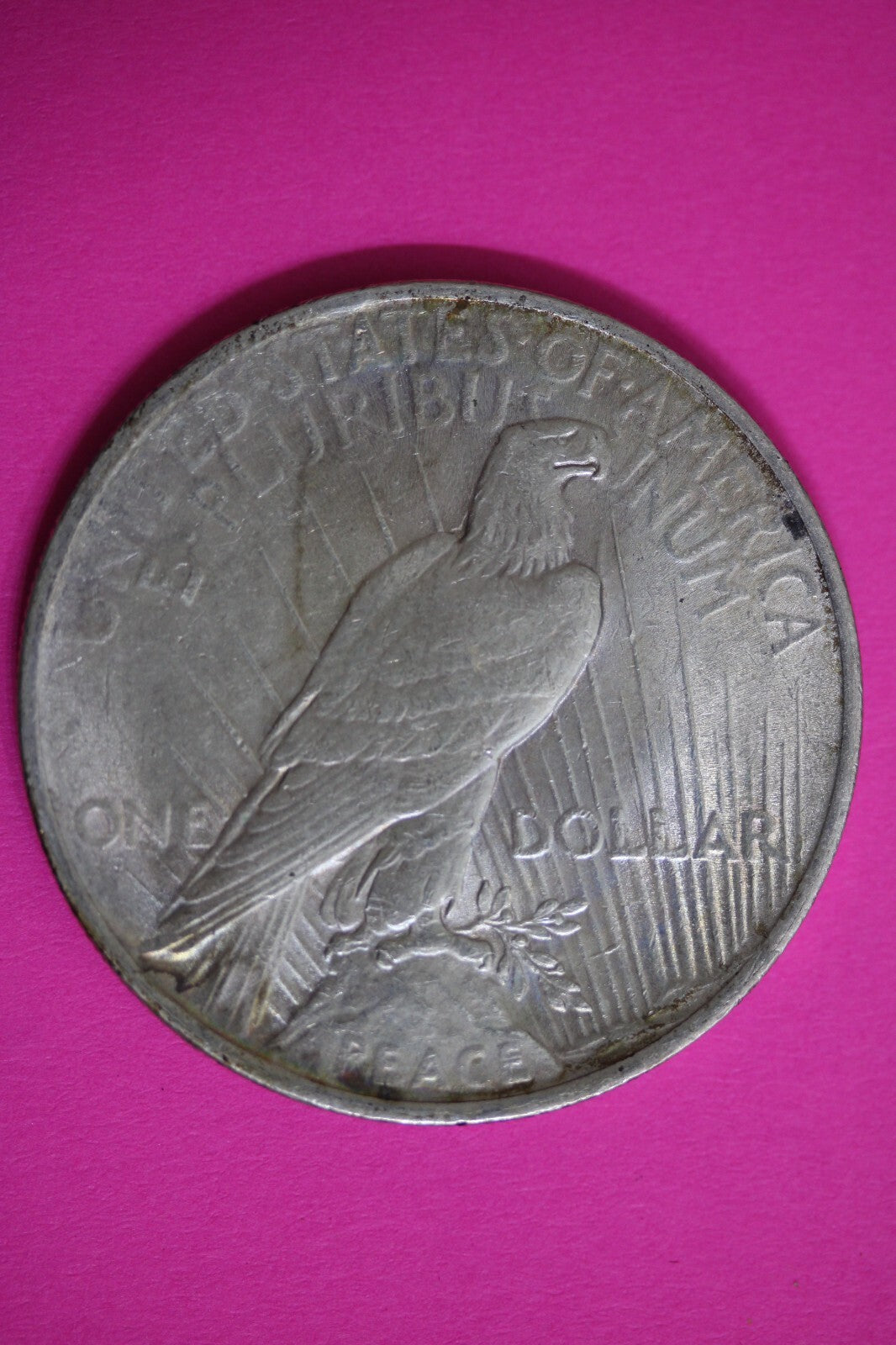 High Grade 1923 P Liberty Peace Silver Dollar Exact Coin In Pics Lots Luster 86