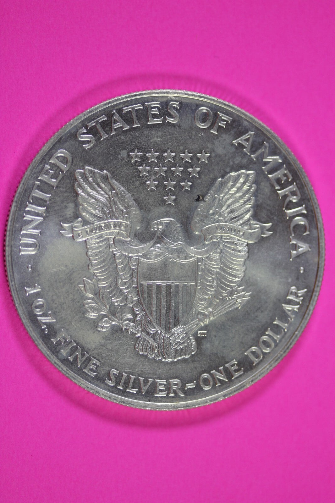 Colorized 1999 American Silver Eagle 1 Ounce .999 Fine Exact Coin Shown 163