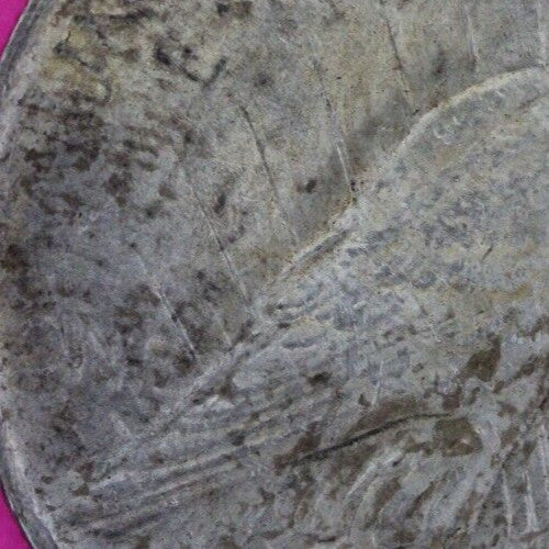 1923 P Liberty Peace Silver Dollar Philadelphia Coin Nice Toning 19