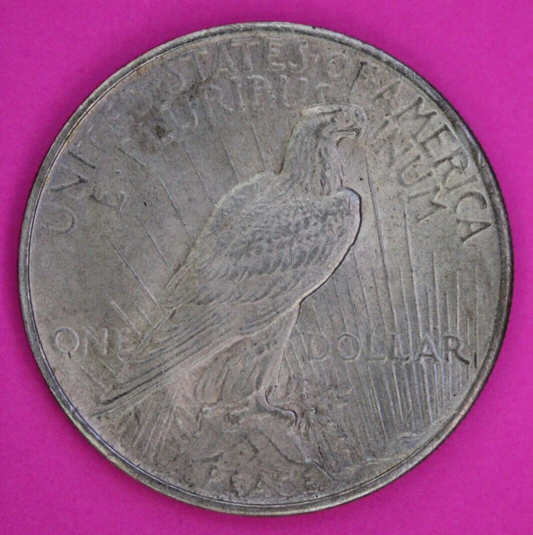 Toned High Grade 1925 P Liberty Peace Silver Dollar Philadelphia Mint Coin 233