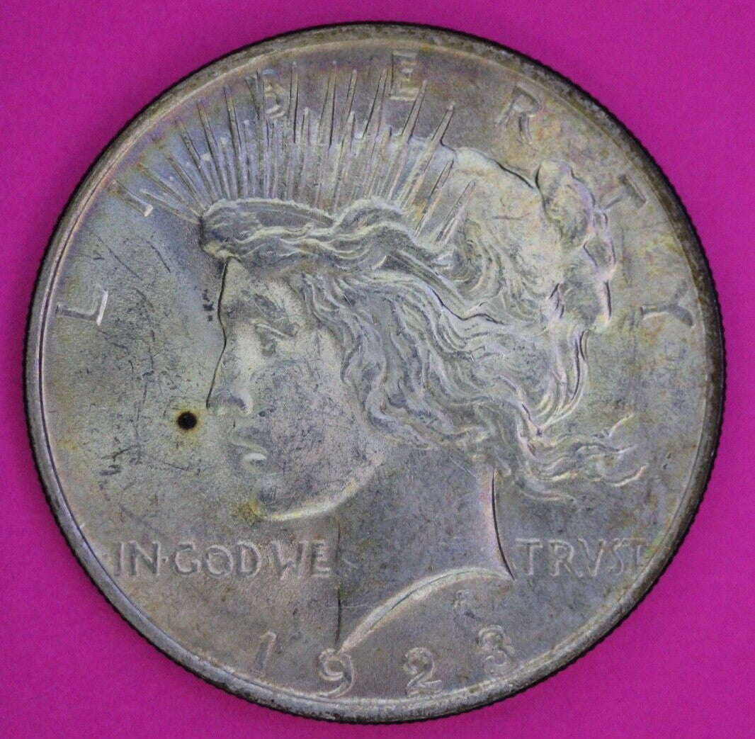 Toned High Grade 1923 P Liberty Peace Silver Dollar Philadelphia Mint Coin 232