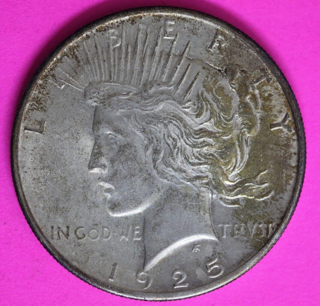 Toned 1925 P Liberty Peace Silver Dollar High Grade Philadelphia Mint 199