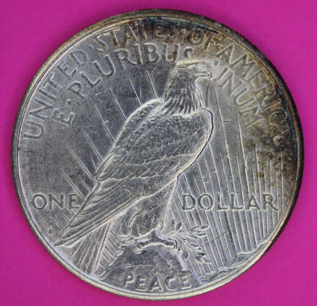 Clashed Reverse 1923 S Liberty Peace Silver Dollar Philadelphia Mint Coin 237