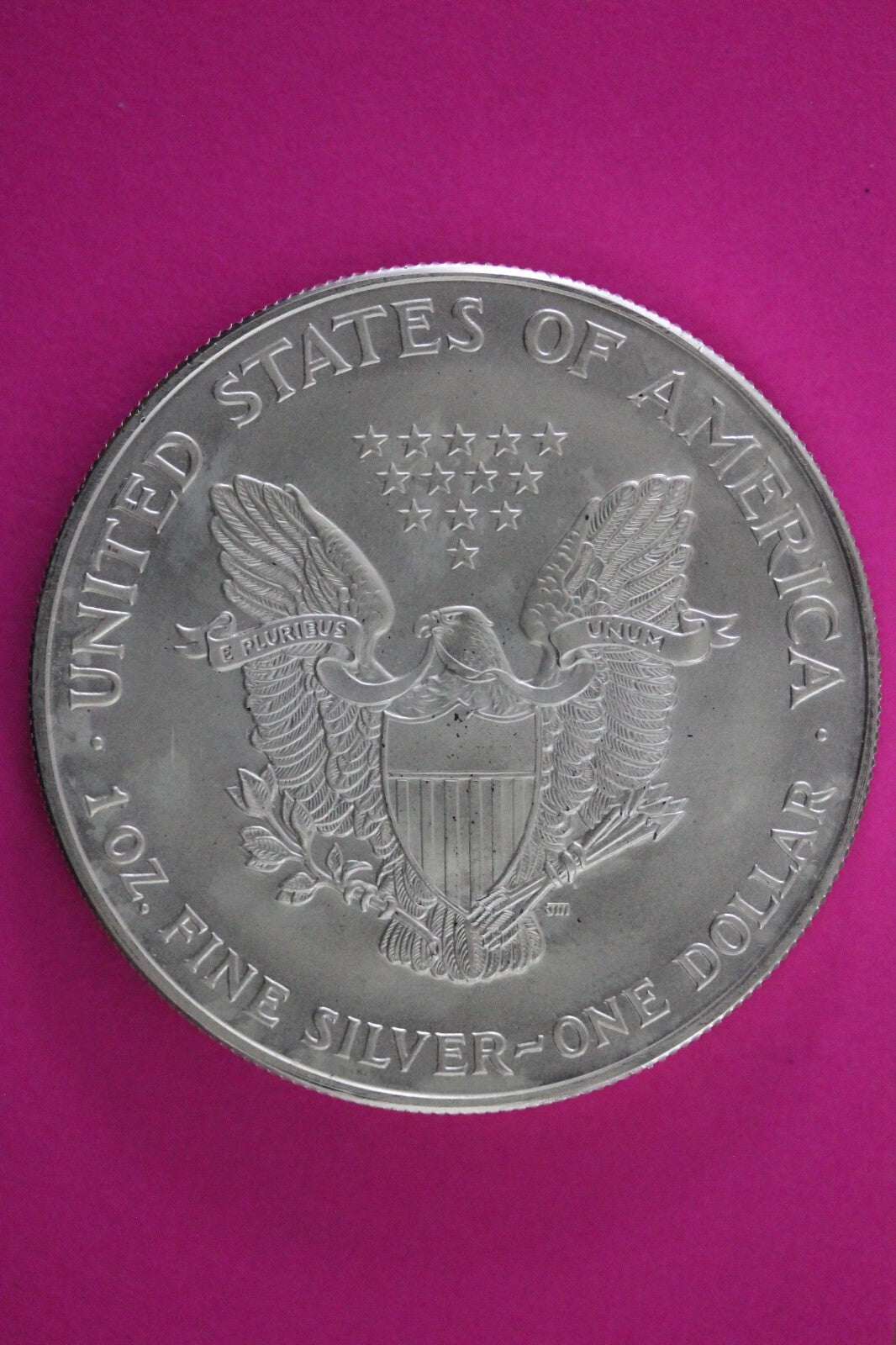 Colorized 1999 American Silver Eagle 1 Ounce .999 Fine Exact Coin Shown N0525