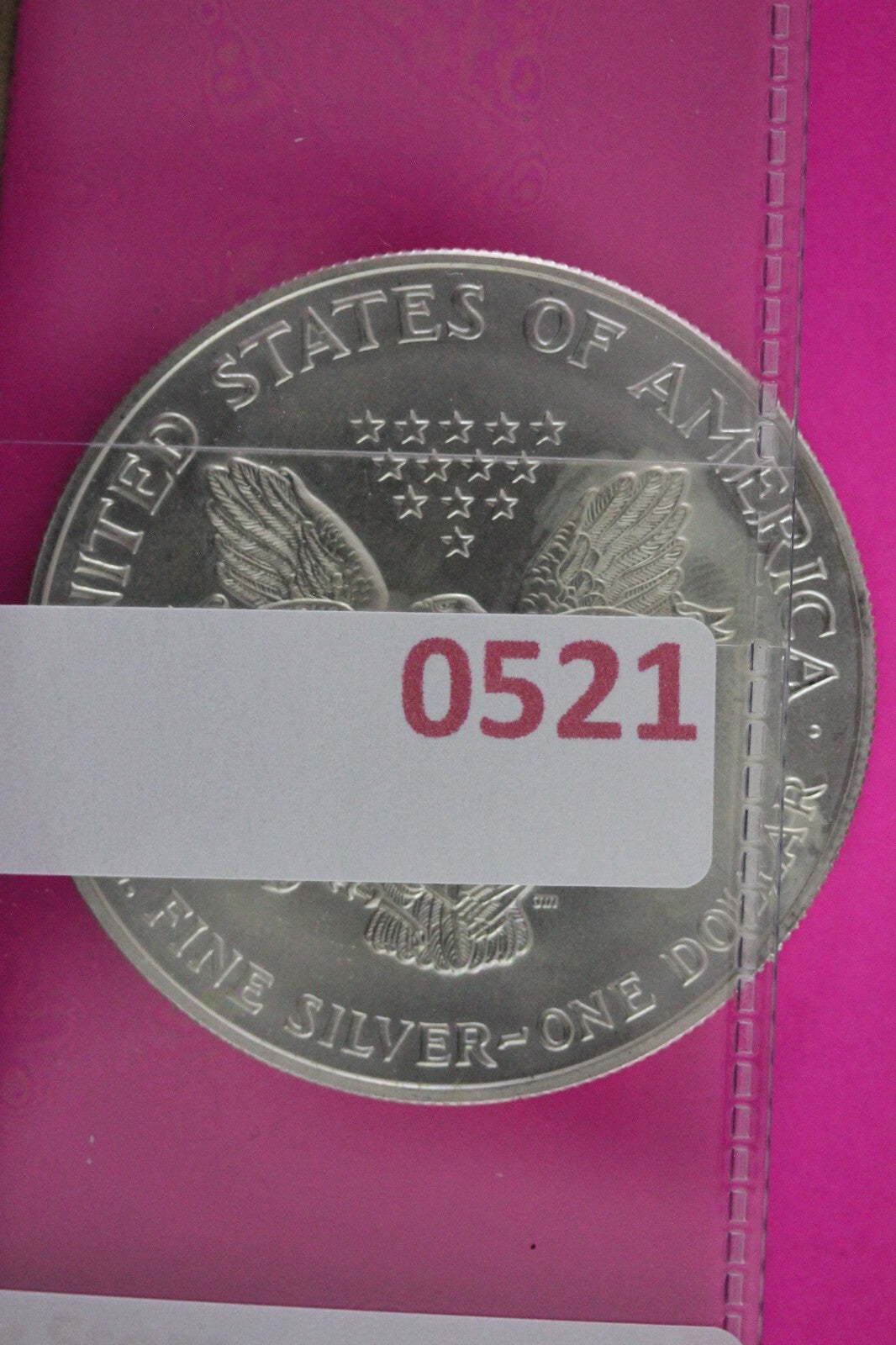 Colorized 1999 American Silver Eagle 1 Ounce .999 Fine Exact Coin Shown N0521