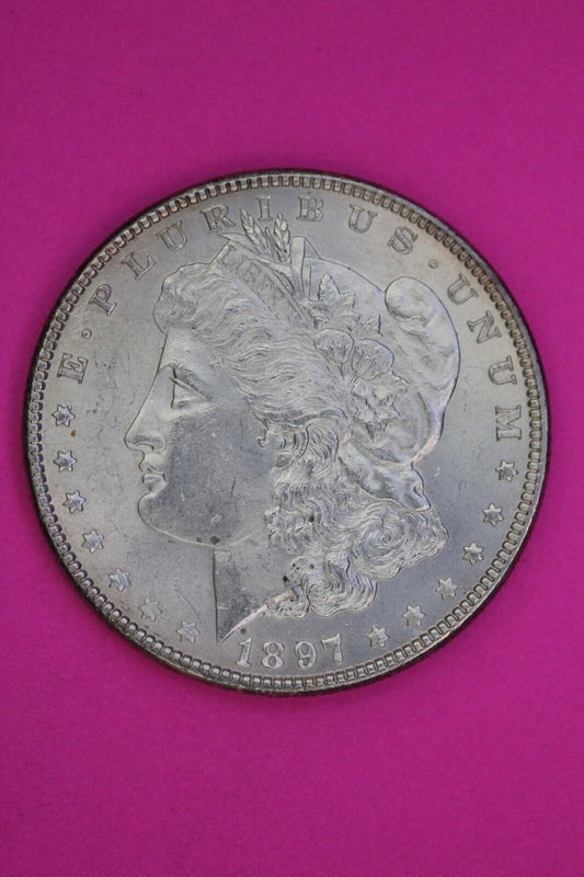 Top 100 Pitted Reverse 1897 P Morgan Liberty Silver Dollar Rare Vam 6A Coin 161