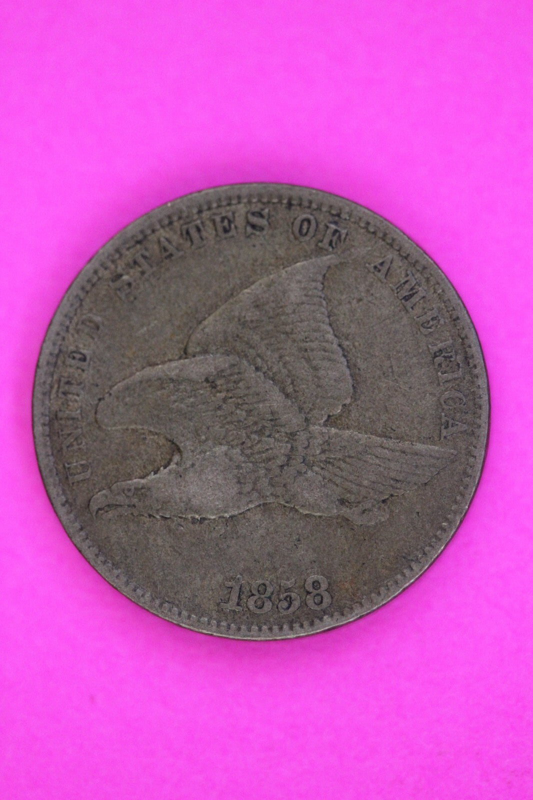 Mint Error Rim Cuds Rev 1858 Flying Eagle Cent Penny Exact Early Scarce Coin 113