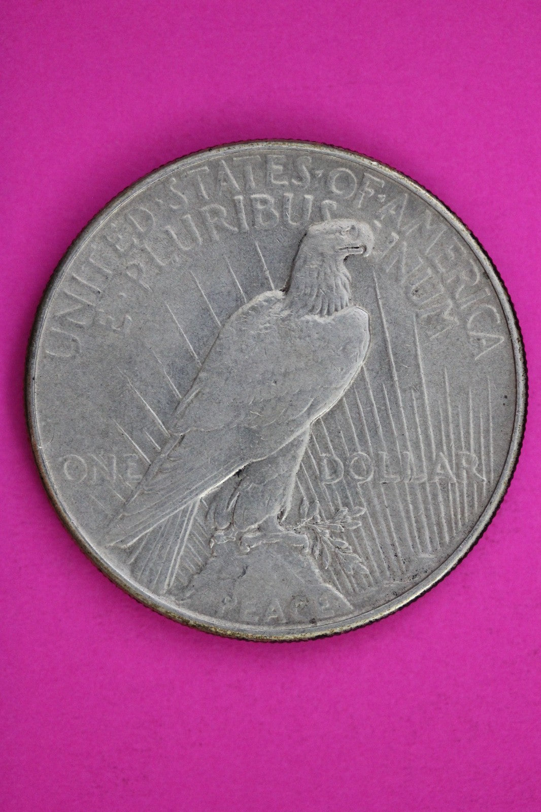 1934 P Peace Lady Liberty Semi Key Date Silver Dollar Guaranteed Authentic 1780