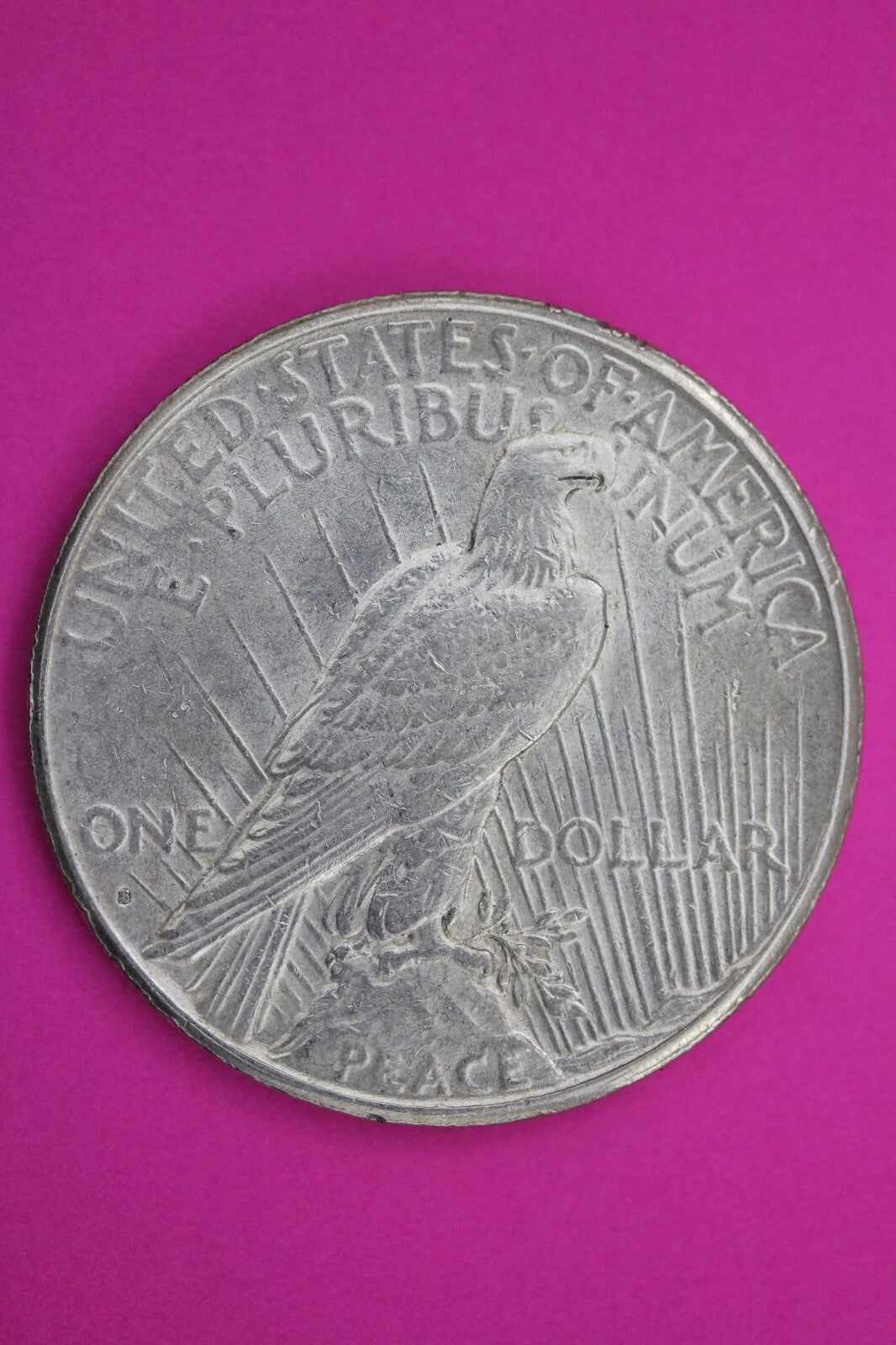 High Grade 1925 S Liberty Peace Silver Dollar San Francisco Mint Nice Luster 201