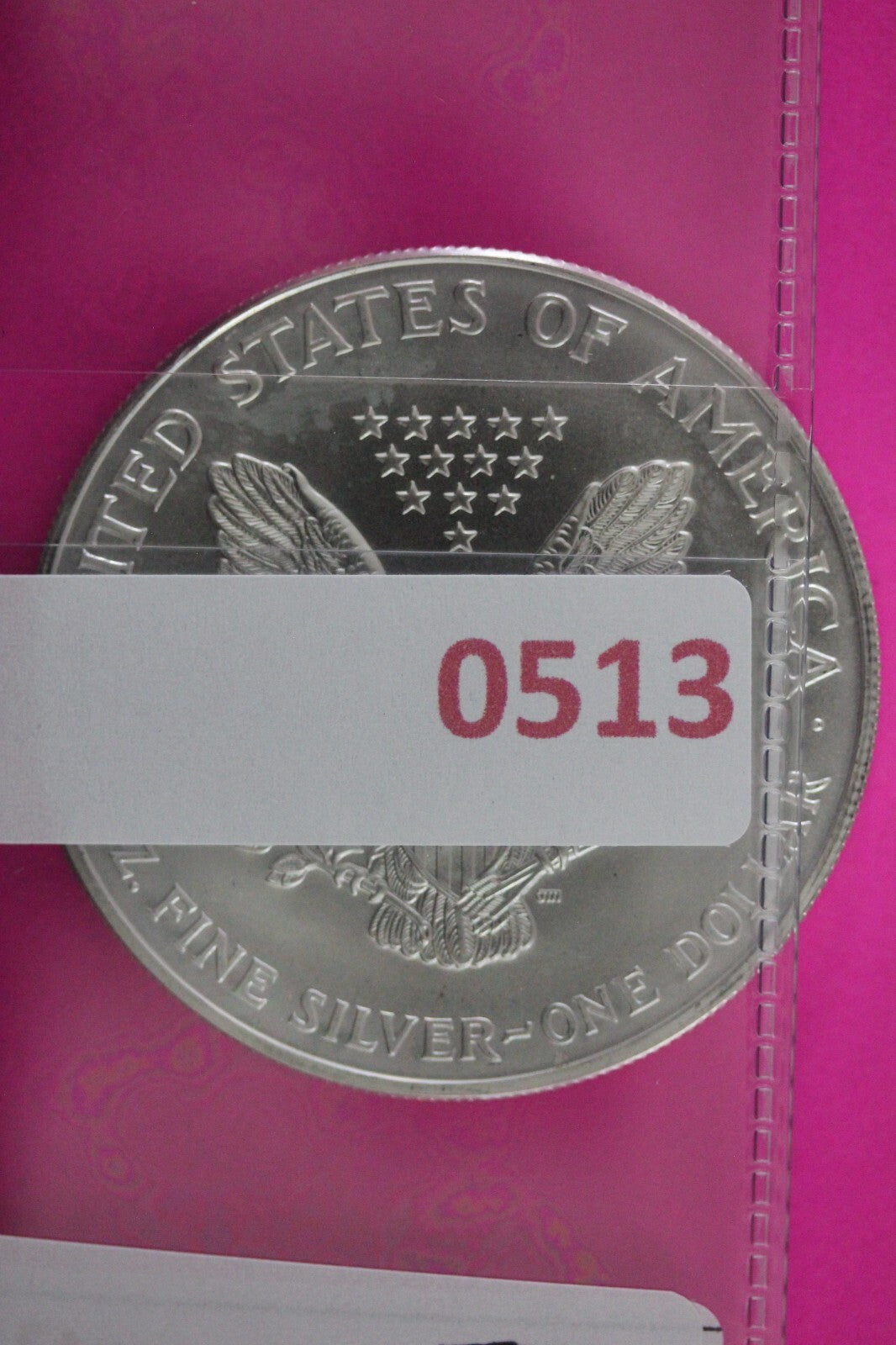 Colorized 2000 American Silver Eagle 1 Ounce .999 Fine Exact Coin Shown N0513