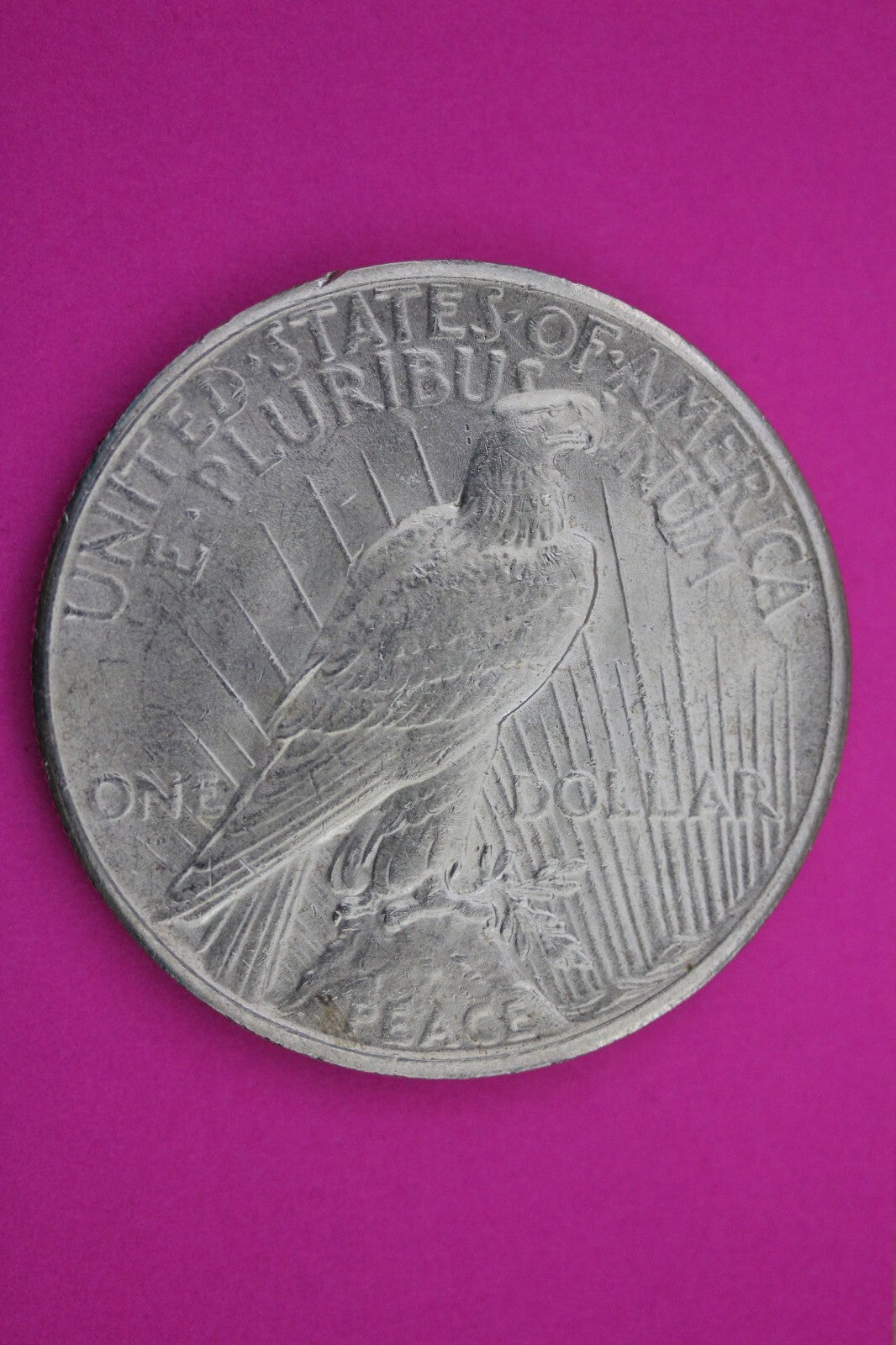 High Grade 1926 P Peace Silver Dollar LIberty Coin Guaranteed Authentic 0298N