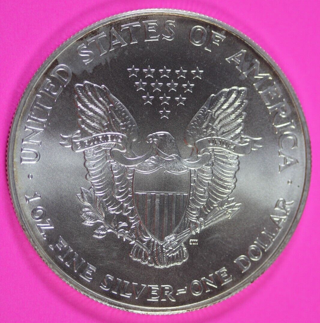 Colorized 2000 American Silver Eagle 1 Ounce .999 Fine Exact Coin Shown 149