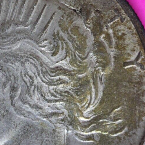Toned 1925 P Liberty Peace Silver Dollar High Grade Philadelphia Mint 199