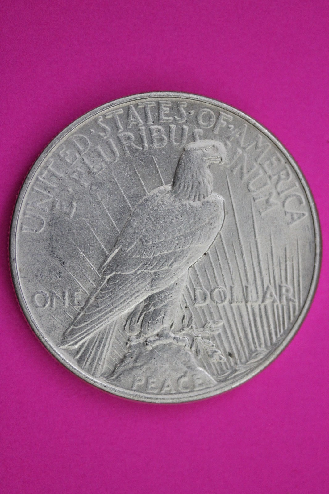 1934 P Peace Silver Dollar LIberty Coin Guaranteed Genuine American Seller 2023