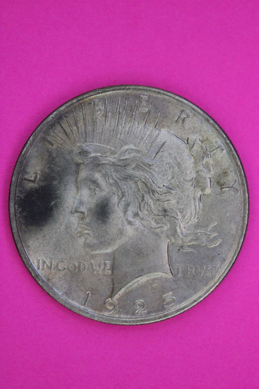 Toned High Grade 1925 P Liberty Peace Silver Dollar Philadelphia Mint Coin 233