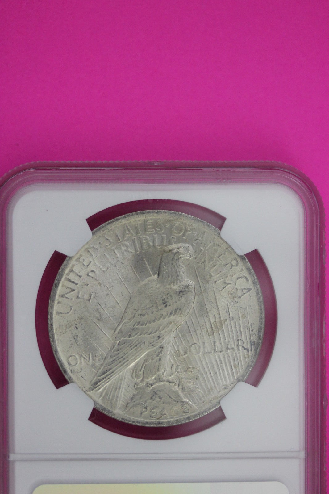 1923 P MS 64 Peace Liberty Silver Dollar NGC Certified Graded Authentic 1183