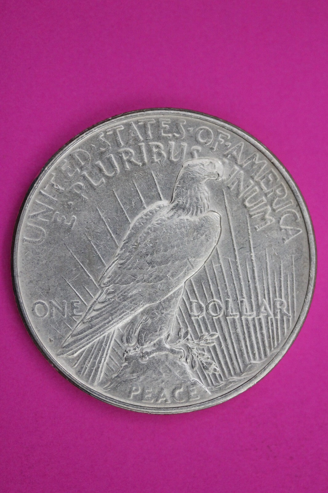 High Grade 1923 D Liberty Peace Silver Dollar Denver Mint Nice Luster 206