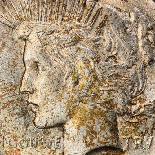 Golden Toned 1922 P MS 62 Peace Silver Dollar PCGS Graded Trueview Slab 1421