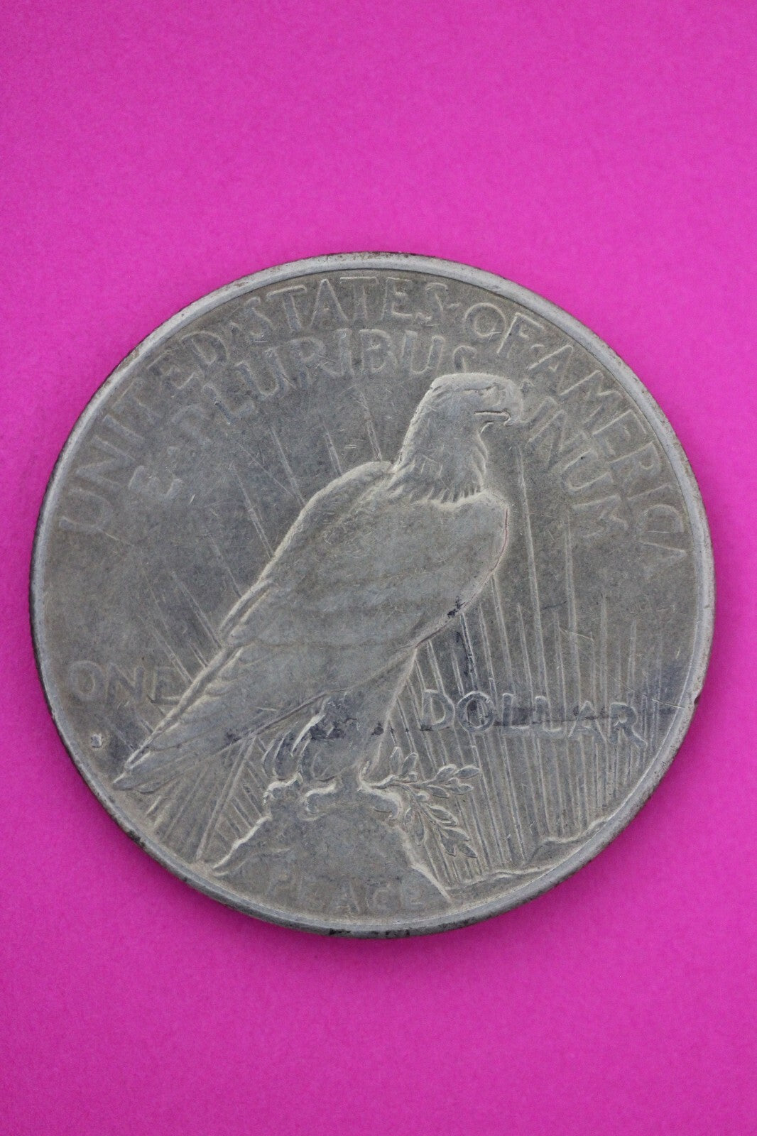 1934 S Liberty Peace Silver Dollar Scarce Semi Key Date Coin San Francisco 67