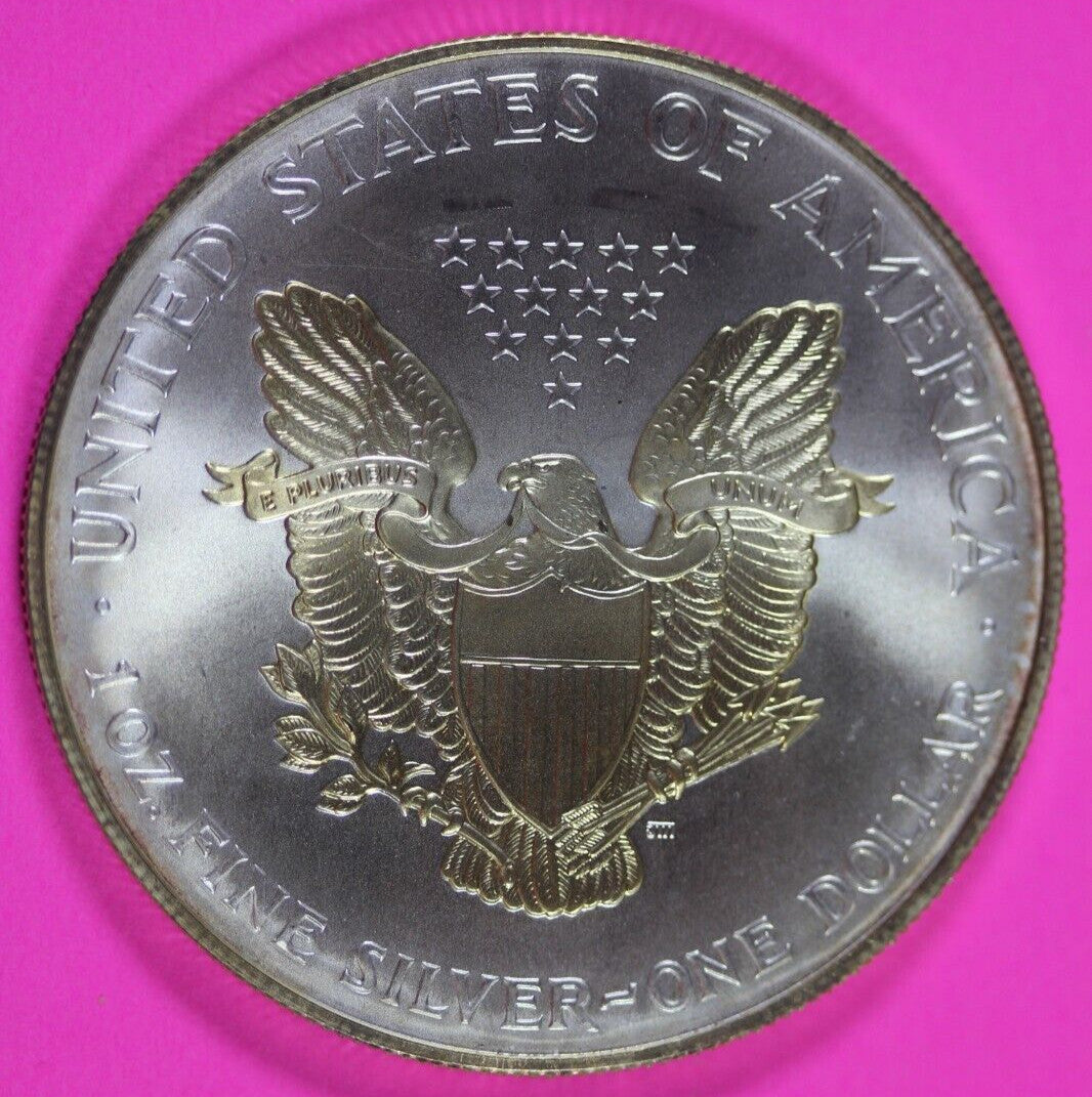 Colorized 2000 American Silver Eagle 1 Ounce .999 Fine Exact Coin Shown 151